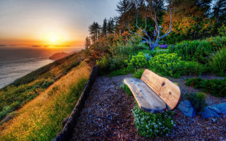 Bench hillside ocean sunset nature - a lush green hillside next free wallpaper