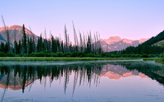 Lake mountains trees pink sky 2 - tree and mountains free wallpaper