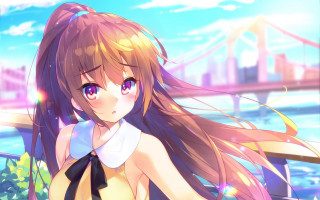 Girl long hair bridge city - a bridge over water free wallpaper