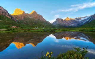 Mountain lake flower forest sky - a few yellow flower free wallpaper
