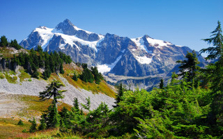 Mountain range snow peak forest 2 - a trail in the foreground free wallpaper for desktop