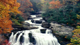 Waterfall forest trees people rocks - a waterfall in the middle of a forest free wallpaper