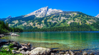 Mountain lake shore rocks forest - clear water free wallpaper