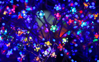 Glowing lights tree night macro - interactive free wallpaper