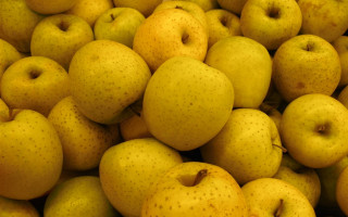 Yellow apples brown spots white - a pile free wallpaper