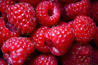 Raspberries water droplets black background - raspberry free wallpaper