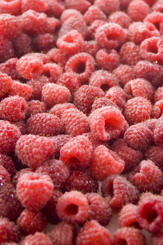 Raspberries closeup water droplets white - a close up of a bunch free wallpaper for mobile