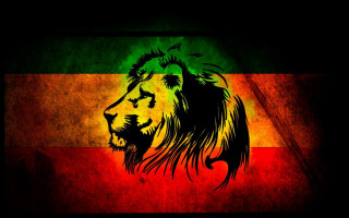 Lion mane multicolored background black - andrew boog faithfull free wallpaper