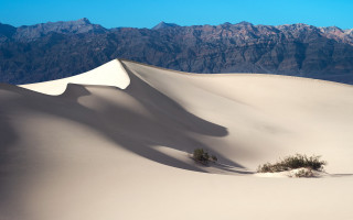 Lone tree desert mountains blue 2 - a blue sky in the foreground free wallpaper
