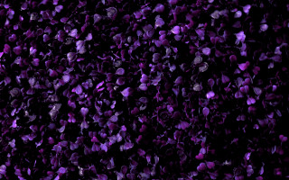 Purple flower background ghost hat - chiharu shiota free wallpaper