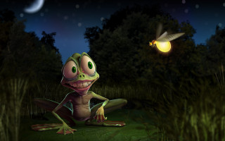 Frog grass night bird moon - overhead in the background free wallpaper