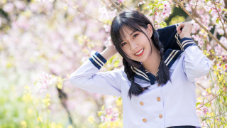 Sailor girl cherry blossoms blooming - a woman in a sailor outfit free wallpaper