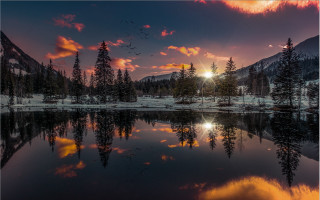 Lake mountain sunset birds reflections - tree and a mountain in the background free wallpaper