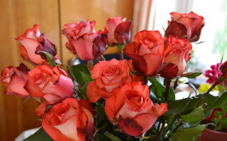 Red roses vase still life - red rose free wallpaper