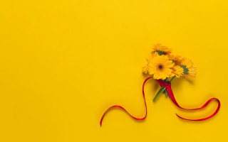 Yellow flower red ribbon gradient - the end free wallpaper