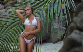 Woman bikini palm tree sculpture - a palm tree free wallpaper