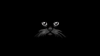 Black cat glowing eyes night 4 - a black cat free wallpaper