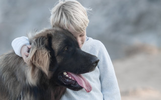 Boy hugging dog mountain portrait - his tongue free wallpaper