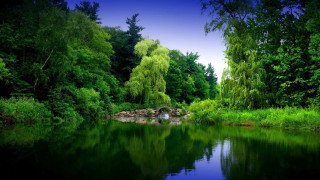Pond bridge trees grass sky - a pond free wallpaper for desktop
