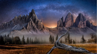 Mountain range tree branch night - a painting of a mountain range free wallpaper