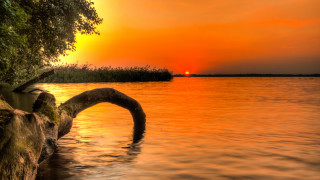 Tree branch water sunset ecological - lake free wallpaper for desktop