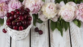 Cherry peony berry floral stilllife - betty merken free wallpaper