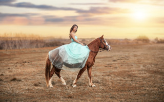Woman horse dress sunset magical - a horse in a field free wallpaper