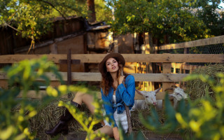 Cowgirl goat fence bush flower - a fence and a building free wallpaper