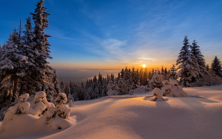 Sunset snowy mountain trees beach - sunrise free wallpaper