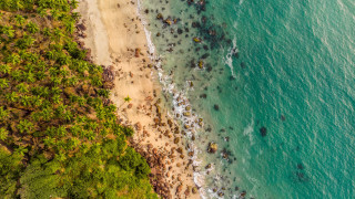 Beach people ocean trees aerial - it next free wallpaper
