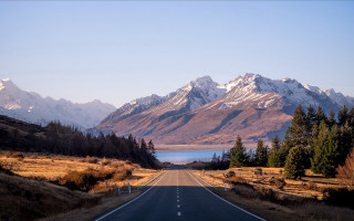Mountain lake road forest trees - tree and grass free wallpaper for desktop