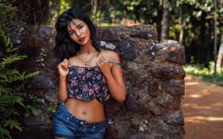 Woman stonewall trees bushes christmas - the background and bushes free wallpaper for desktop