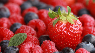 Strawberry blueberry berries flower cake - tip free wallpaper