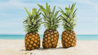 Pineapples beach sand ocean sky - fructose free wallpaper for desktop