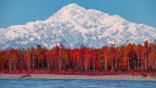 Mountain range forest red trees - a body of water in front free wallpaper for desktop