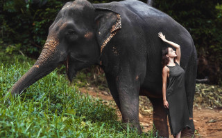 Woman elephant field dress nature - claire dalby free wallpaper