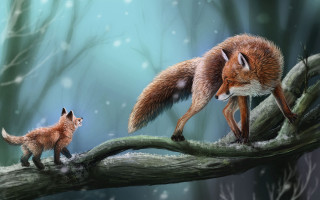 Fox cub branch snow falling - a branch in the snow free wallpaper