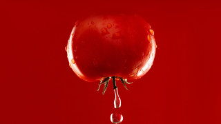 Red apple water drops macro 2 - water drop free wallpaper