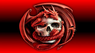 Skull dragon skull middle head - a dragon free wallpaper for desktop