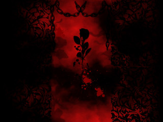Red rose black background red - a red border free wallpaper