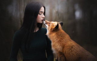 Woman kissing fox woods fog - a fox free wallpaper