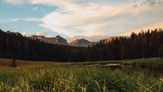 Grassy field mountain lake trees - a mountain in the background and a lake in the foreground free wallpaper