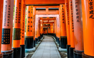 Orange columns asian writing tilt - japan eishōsai chōki free wallpaper