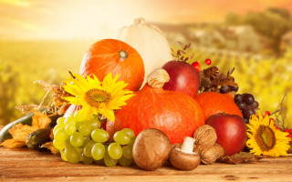 Harvest fall vibrancy sunflowers pumpkins - fall vibrancy free wallpaper