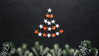 Christmas star tree branches snow - a christmas tree free wallpaper
