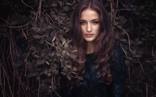 Woman bush leaves portrait flowers - a bush free wallpaper for desktop