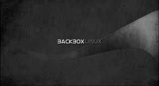 Backbox linux black background white - a white swirl free wallpaper