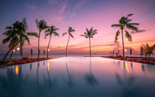 Pool palm trees sunset ocean - moody free wallpaper