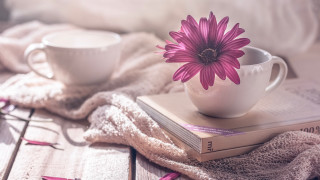 Pink flower white cup book - a white cup free wallpaper