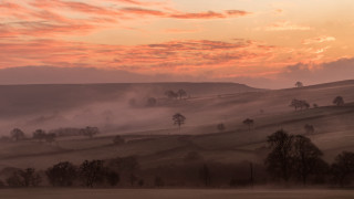 Foggy horizon sunset trees mountains - tree and hills free wallpaper